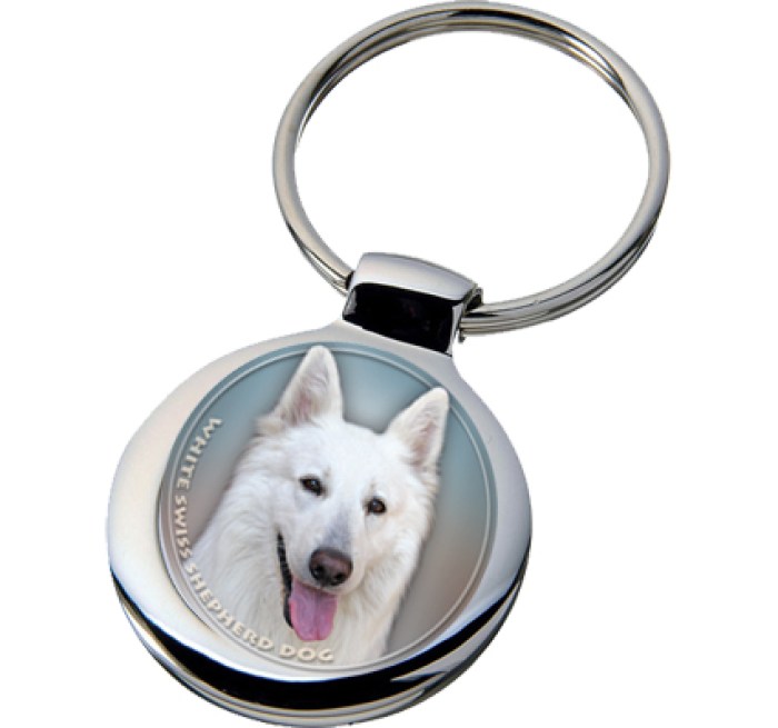 white_swiss_shepherd_dog_347-701 